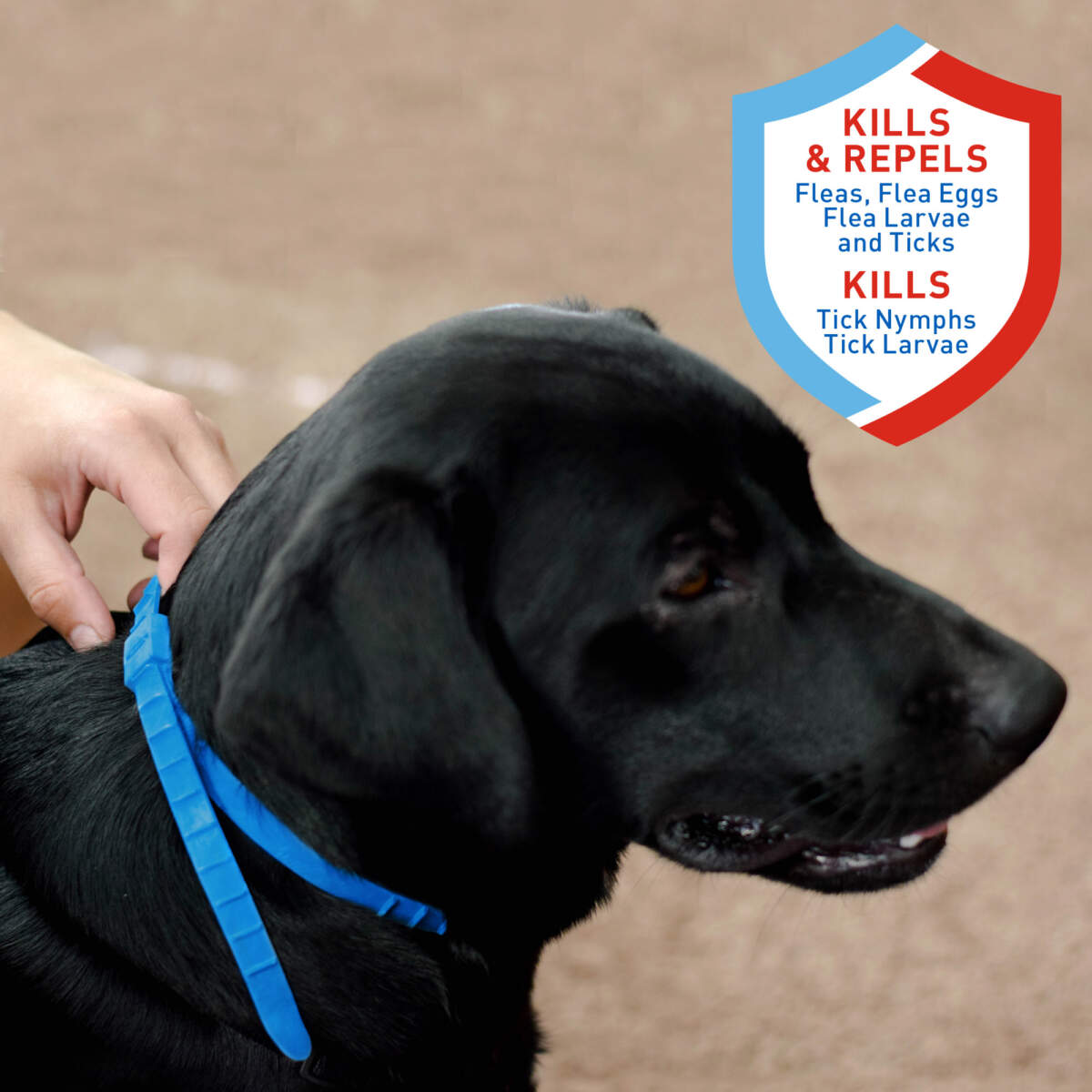 Adams Plus Flea & Tick Collar for Dogs