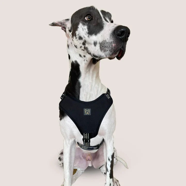 NEOPRENE SPORT DOG HARNESS