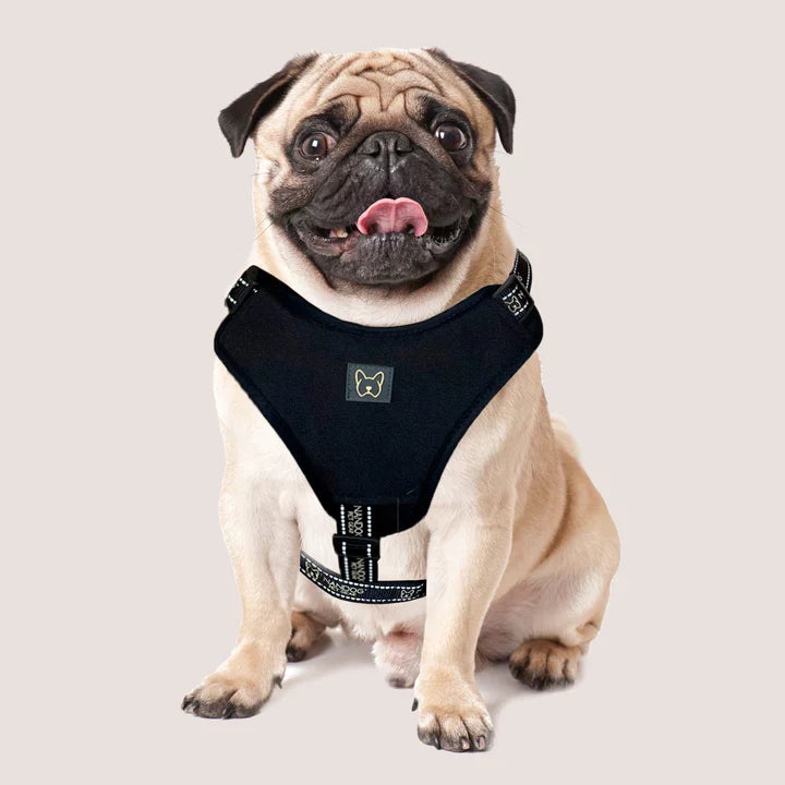 NEOPRENE SPORT DOG HARNESS