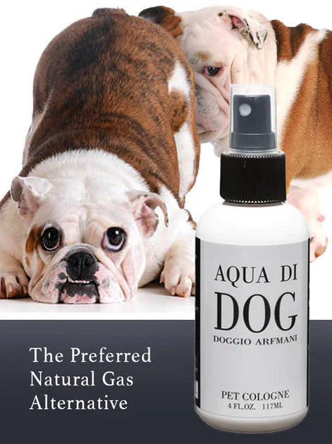 Aqua Di Dog
