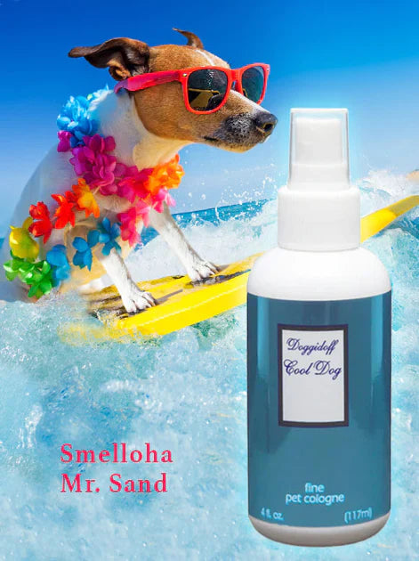 Cool Dog