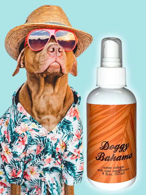 Doggy Bahama Boy