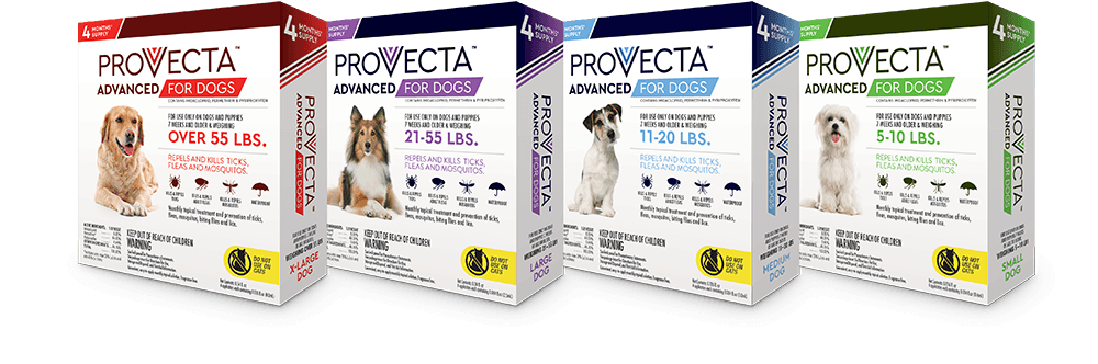 PROVECTA ADVANCED FOR DOGS