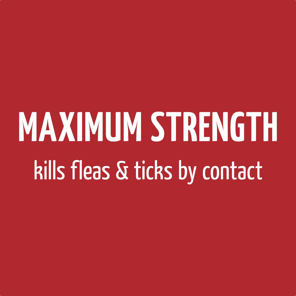 FLEA & TICK MAXIMUM STRENGTH SHAMPOO FOR DOGS
